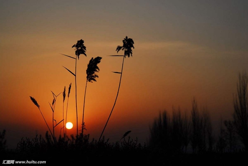 sun goes down