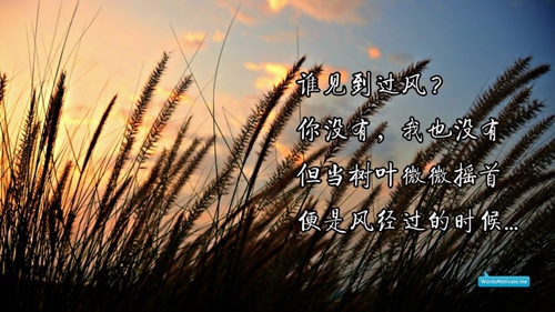 武漢周舟廣場舞