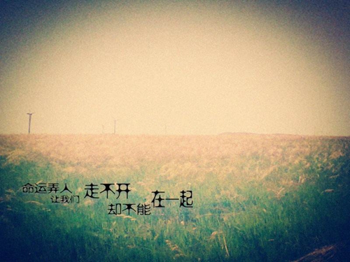 秀英廣場舞