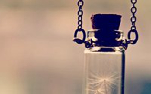友情最美麗十六步廣場舞