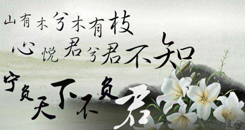 別知己廣場(chǎng)舞dj背面教學(xué)