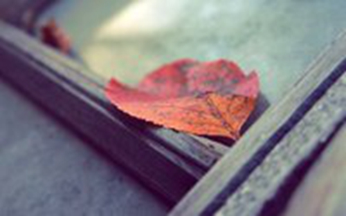 我在紅塵中等你廣場舞教學視頻
