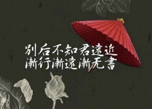 西園萊茵