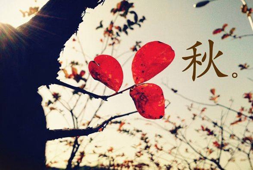 雙人廣場舞恰恰情人橋優酷