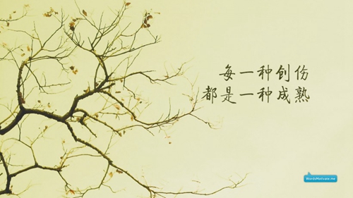 天鵝湖廣場(chǎng)舞十六步
