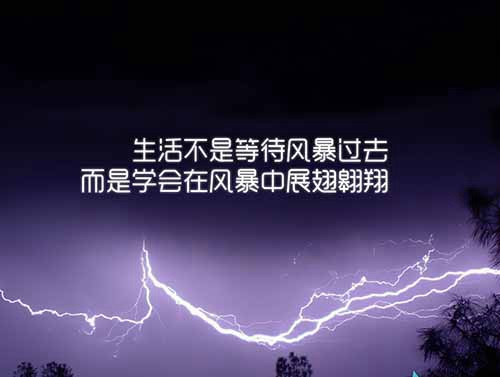 耶耶耶廣場舞32步背面教程