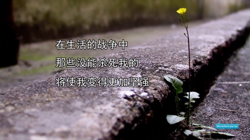 三十六步雙人舞廣場舞