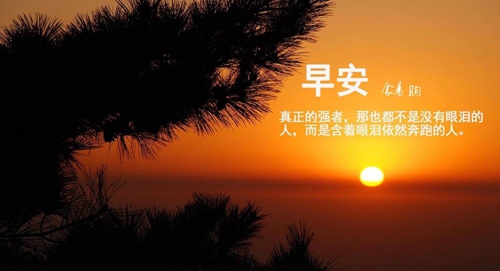 舞動2007廣場舞專輯