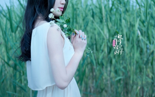 楊麗萍廣場舞32步專輯