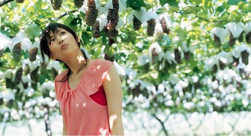 白蓮花36步健身廣場舞（白花花廣場舞）