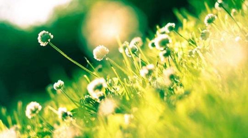 美麗的神話廣場舞（廣場舞蹈初學一步一步教視頻）