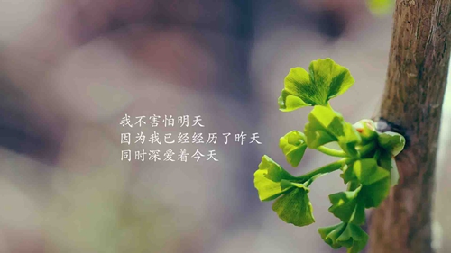 靚麗36步廣場舞教學（鐘愛的人廣場舞背面教學）