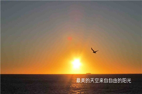 激情廣場舞恰恰步（留不住的人就別再留廣場舞背面教學視頻）