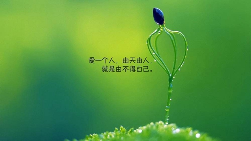 原版廣場(chǎng)舞吉祥