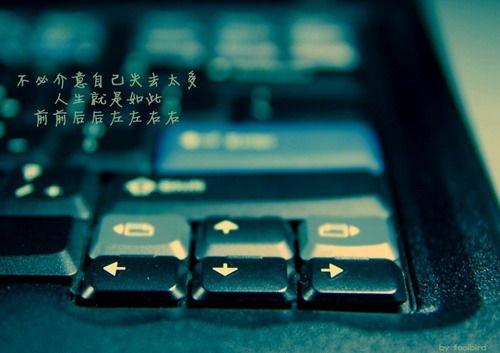 廣場舞駱駝歌
