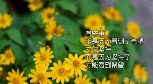 浜戝崡欏跺懕鍛卞箍鍦鴻垶姝屾洸