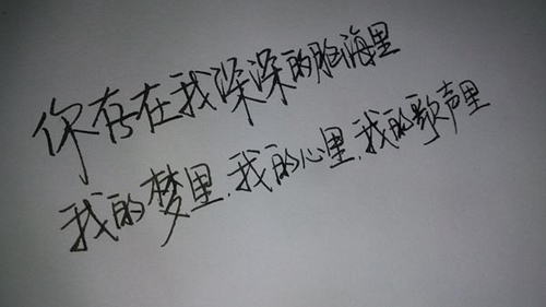 中老年民族舞廣場舞教學（中老年廣場舞又見山里紅16步）