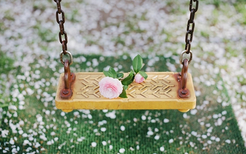 春花廣場(chǎng)舞大全