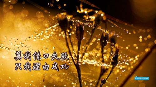 熱辣辣dj廣場舞入門（8步健身廣場舞）