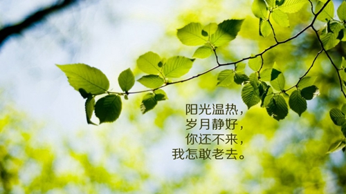 三步舞教程廣場舞瑪尼情歌（茉莉廣場舞你還是我要的你嗎視頻）