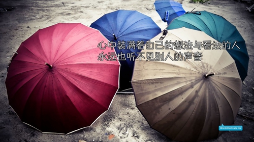 《胡楊姑娘歌詞+mp3》民族廣場舞紅棗樹教學視頻