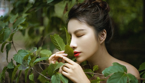 歌曲《胡楊》