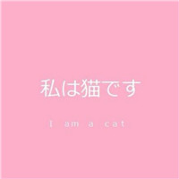 用帥哥頭像騙女人投資3